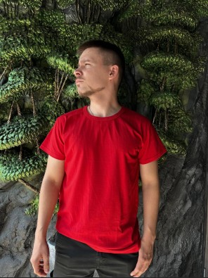 Чоловіча футболка стандарт якості